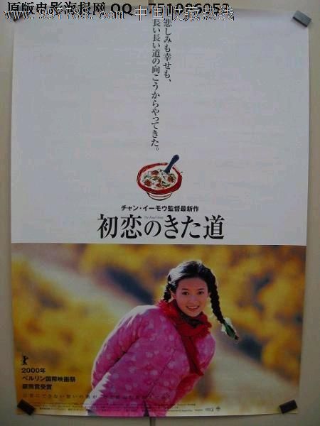 新南威尔士州制作假证